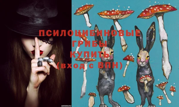 спайс Алексеевка